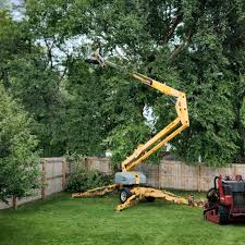 Best Lot and Land Clearing  in University Place, WA
